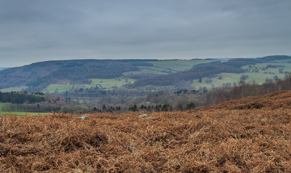 Calton Pastures